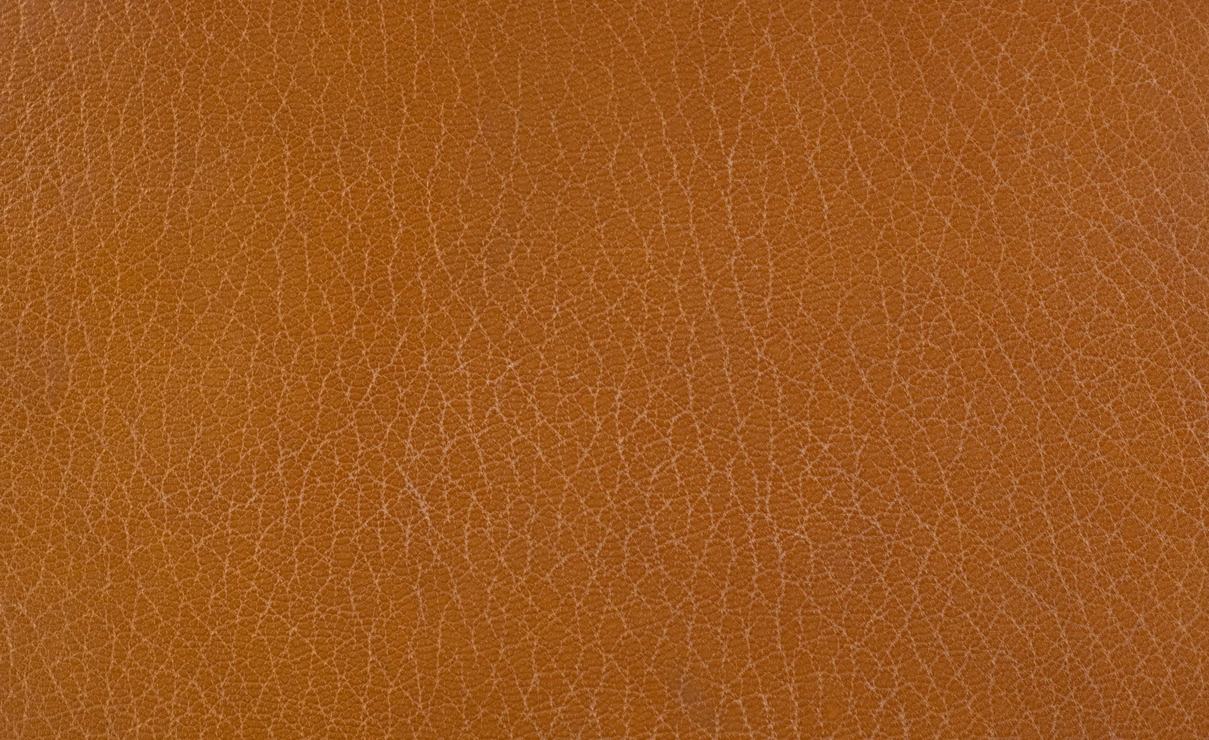 Full-grain hide